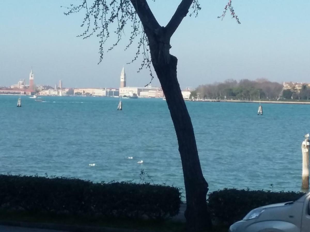 Bellavista Sanmarco Venice And Lagoon View Lido di Venezia Ngoại thất bức ảnh